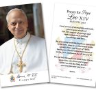 Pope Leo XIV Holy Cards