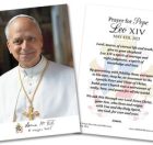 Pope Leo XIV Holy Cards