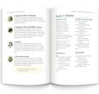Catholic Youth Prayer Book