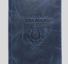 Blue Slip-On Cover