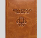 Brown Slip-On Cover